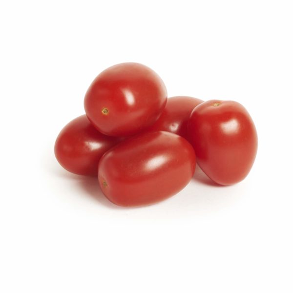 Roma Cherry Tomato Seedlingcommerce © 2018 8160.jpg