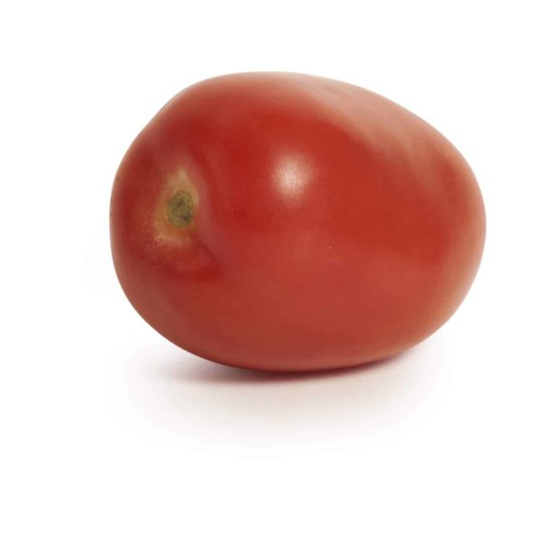 Tomato Roma Seedlingcommerce © 21018 8015.jpg